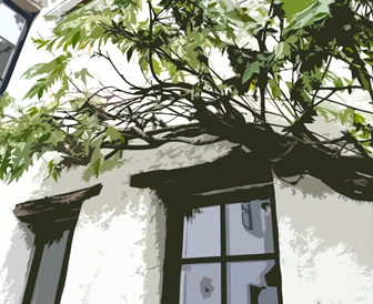 Le Patio